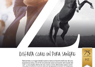 Concurso nueva imagen de HZ